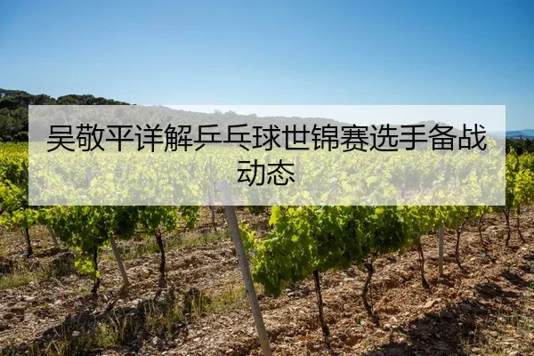吴敬平详解乒乓球世锦赛选手备战动态